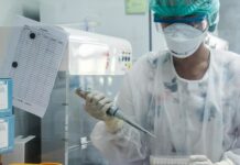 Covid-19 / Omicron : aux côtés des pays africains, l’OMS lance un appel pour que les frontières restent ouvertes