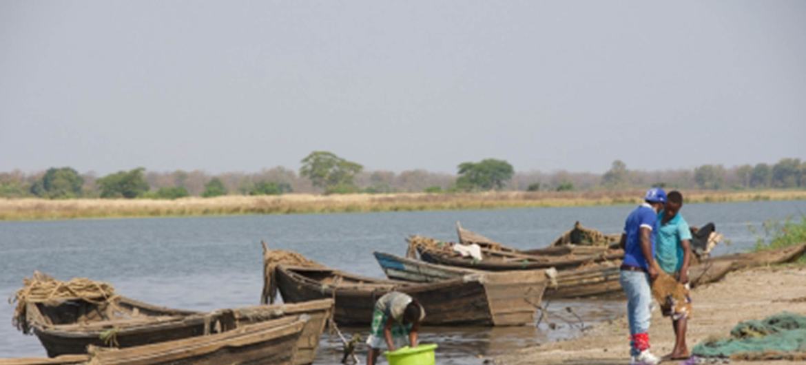 Le nombre de poissons baisse et il n’y a plus de végétation sur les berges de la rivière et les rives du lac.