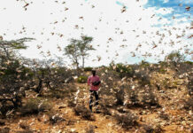Somalie : un habitant sur quatre menacé par la faim en raison de la sécheresse avertit l’ONU