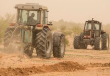 Innovation et tradition ramènent à la vie les terres africaines dégradées