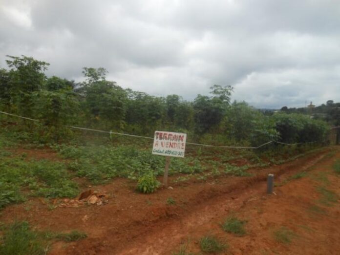 Mafia foncière : Ayi Monique, le Maire RDPC soupçonné d’avoir détourné 8,5 hectares de terrain et 20 tombes à Yaoundé