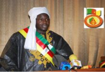 Cameroun – Parlement jeune : Les questions orales de l’Honorable Mansour Adam Djibrine au gouvernement