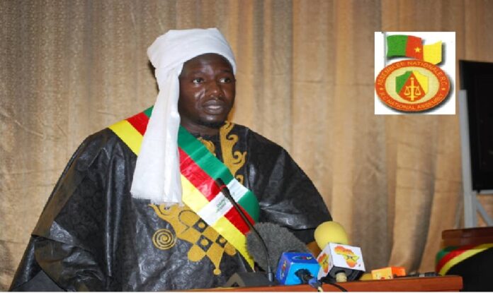 Cameroun – Parlement jeune : Les questions orales de l’Honorable Mansour Adam Djibrine au gouvernement