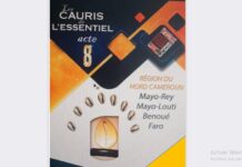 Promotion de l’excellence au Cameroun : La huitième édition de « Les Cauris de l’Essentiel » dans les starting Block