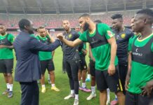 Première réaction de Narcisse Mouelle Kombi après la qualification des Lions Indomptables pour le Mondial Qatar 2022