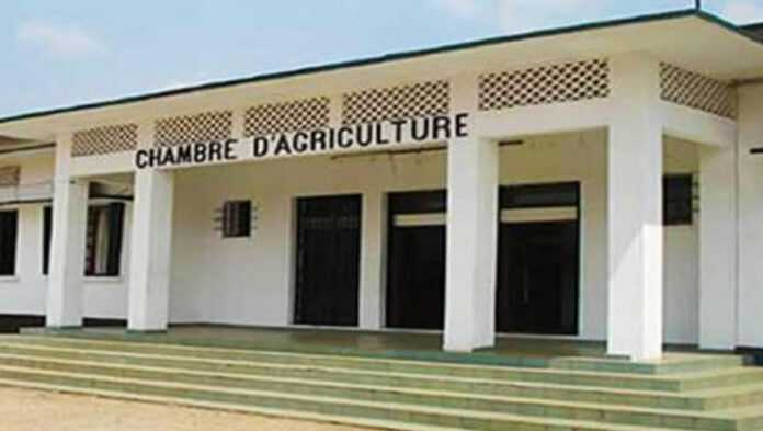 Cameroun – Chambre d’agriculture : Abandon du projet de création d’une micro-banque
