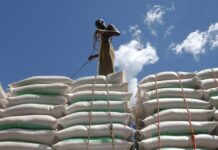 Les prix alimentaires dans le monde ont bondi de près de 13% en mars, selon la FAO