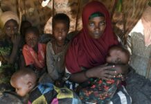 Risque croissant de famine en Somalie, alors que l’impact de la sécheresse s’aggrave