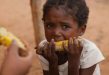 A la COP15, en Côte d’Ivoire, le PAM appelle à mettre en place des systèmes alimentaires résilients