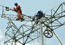 Cameroun : L’entreprise publique Sonatrel se distingue avec une brillante performance financière