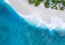 Crise climatique, pollution, perte de biodiversité : il faut changer notre relation avec la nature