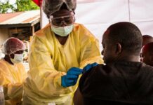 En Afrique, les maladies transmises par les animaux à l’homme ont bondi au cours de la dernière décennie (OMS)