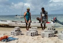 Les coraux sont de retour au Kenya grâce à une initiative locale