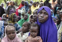 Bassin du Lac Tchad : 5,5 millions de personnes seront en situation d’insécurité alimentaire grave (OCHA)