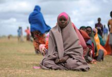 Corne de l’Afrique : le PAM accroît son aide alors que la sécheresse augmente la menace de famine