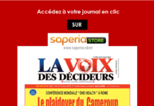 LA VOIX DES DECIDEURS – GUIDE – COMMENT OBTENIR LE JOURNAL NUMERIQUE ?