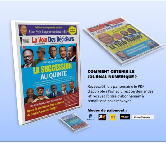 LA VOIX DES DECIDEURS – GUIDE – COMMENT OBTENIR LE JOURNAL NUMERIQUE ?