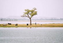 Afrique : l’action pour le climat prend de l’ampleur, mais il faut faire plus, selon l’OMM