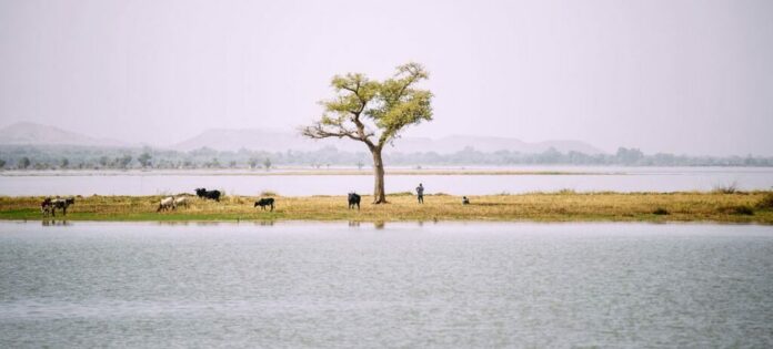 Afrique : l’action pour le climat prend de l’ampleur, mais il faut faire plus, selon l’OMM
