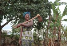 En RDC, une association aide des femmes à devenir indépendantes grâce à l’agriculture