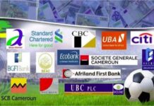 Digitalisation in the Cameroon banking and financial sector