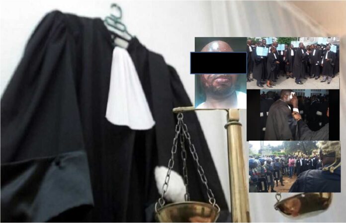 Cameroun – Ces violences faites aux avocats