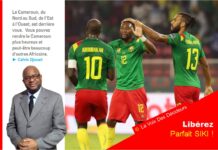 Qatar 2022 : Lettre ouverte de l’écrivain Calvin Djouari aux Lions Indomptables : Le Cameroun a soif d’une victoire et vous exige le dépassement