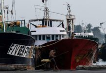 Le traité de la FAO sur la pêche illégale désormais approuvé par 100 Etats parties