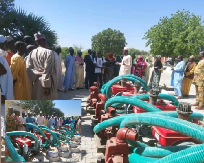Le PROLAC, un levier essentiel pour le développement agricole dans la région du Lac Tchad