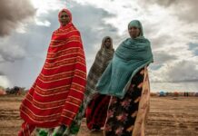 En Ethiopie, une autre manière d’aider les victimes de la sécheresse