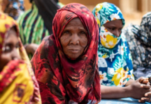 Mali : les autorités doivent respecter la liberté d’expression (expert)