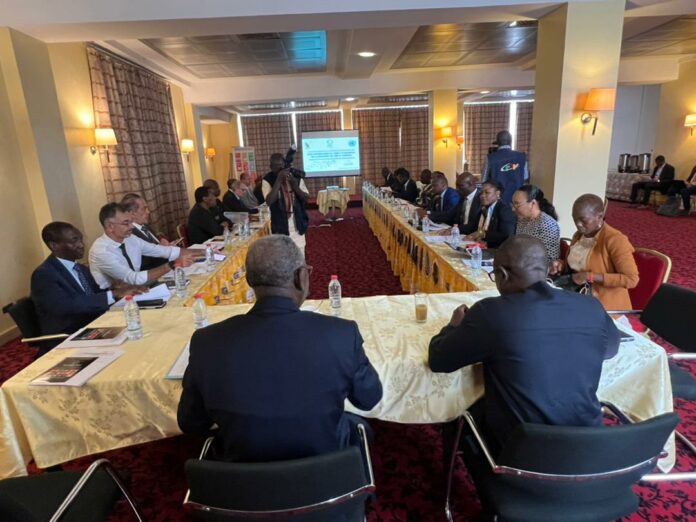 Réalisation des ODD : Le Comité multipartenaires Cameroun – Nations Unies entend venir à bout des goulots d’étranglement