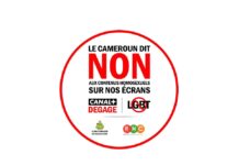 Lutte contre les contenus déviants au Cameroun: une semaine décisive pour le Conseil National de la Communication après la mise en garde