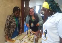 Filière cacao-café au Cameroun : Le Conseil Interprofessionnel capacite les producteurs