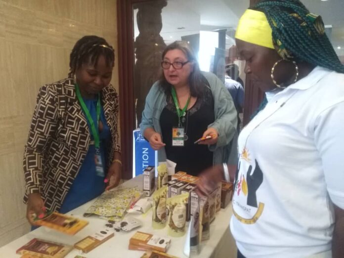Filière cacao-café au Cameroun : Le Conseil Interprofessionnel capacite les producteurs