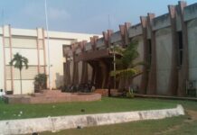 Filière poisson au Cameroun : La société CONGELCAM poursuivie en justice par l’Observatoire pour le Développement Sociétal