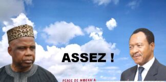 ASSEZ ! Il faut arrêter le énième coup des pillards de la République au prétexte des soit-disant péages automatisés