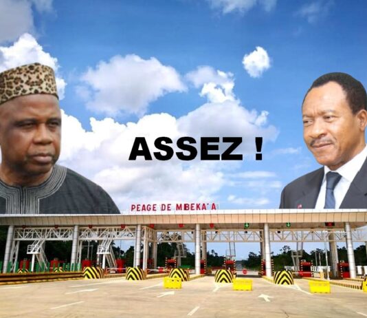 ASSEZ ! Il faut arrêter le énième coup des pillards de la République au prétexte des soit-disant péages automatisés