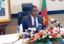 Electricité au Cameroun : Eloundou Essomba annonce des perturbations dans la Région du Centre en raison des travaux liés à la mise en service imminente du barrage hydro-électrique de Nachtigal