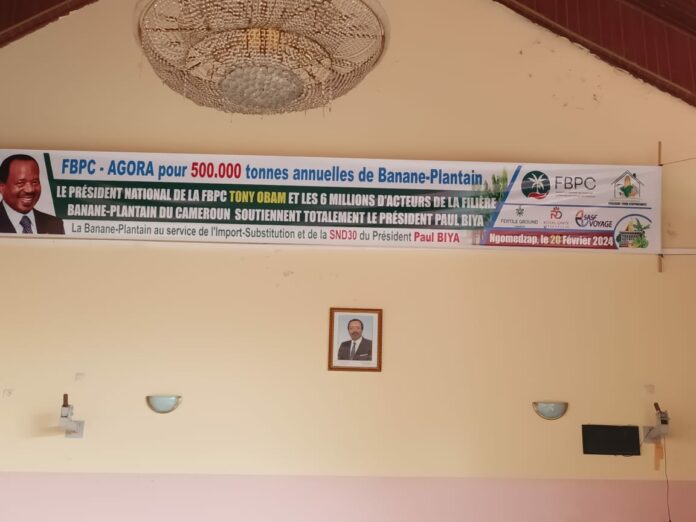 Ngomedzap, capitale de la filière Banane-Plantain ce 20 février 2024
