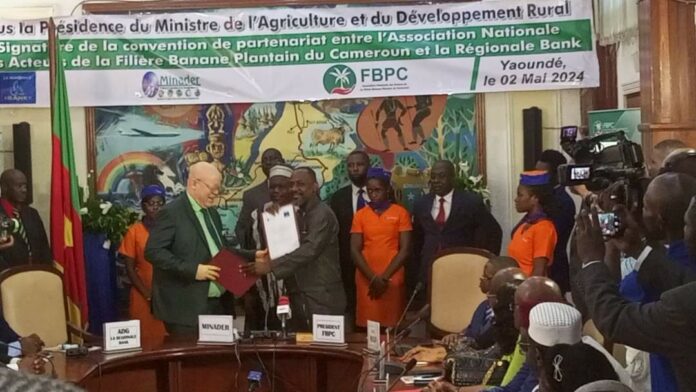 Convention La Régionale Bank et la filière Banane plantain : Le Match Cameroun-Brésil dans les starting-blocks