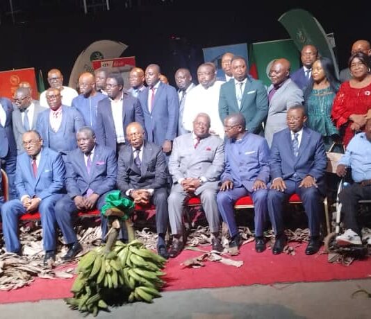 Match Cameroun-Brésil prévu en décembre prochain : Comment acheter son billet d’accès et que faire pour bénéficier d’un stand ?