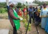 Banane plantain et employabilité des jeunes au Cameroun – 25 jeunes de la Région de l’Est se lancent dans l’entrepreneuriat agricole