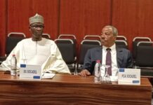Electricité au Cameroun : Oumarou Hamadjoda, nommé tout premier Directeur Général de la Société camerounaise d’Électricité , Socadel