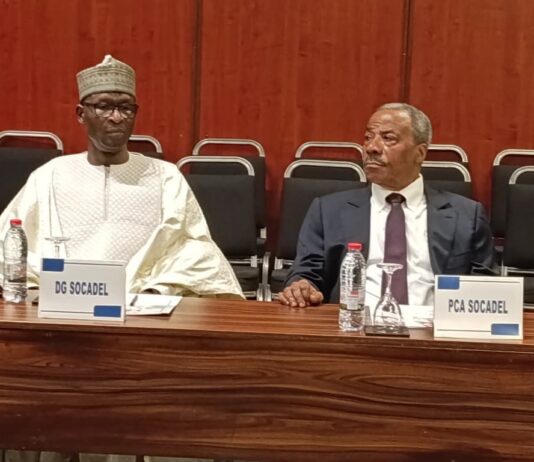 Electricité au Cameroun : Oumarou Hamadjoda, nommé tout premier Directeur Général de la Société camerounaise d’Électricité , Socadel