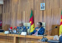 Restructuration du secteur de l’électricité : le gouvernement camerounais s’explique