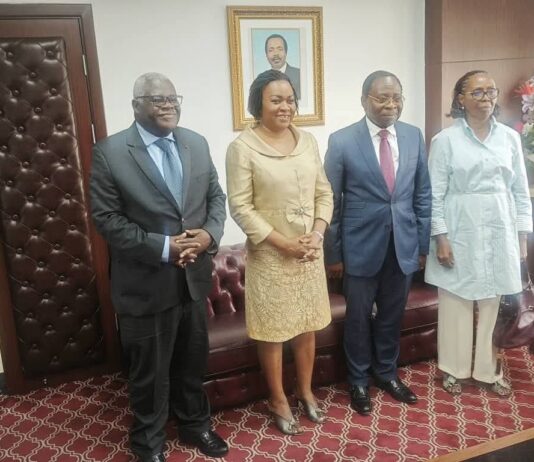 🇨🇲 Énergie et eau au Cameroun : le GPROSE réaffirme son engagement aux côtés du gouvernement pour moderniser le secteur