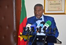 Cameroun : Elecam prépare le terrain pour la tenue des Elections Législatives et Municipales