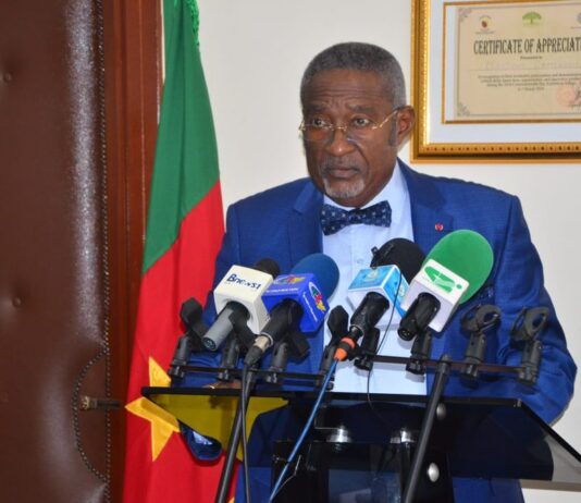 Cameroun : Elecam prépare le terrain pour la tenue des Elections Législatives et Municipales