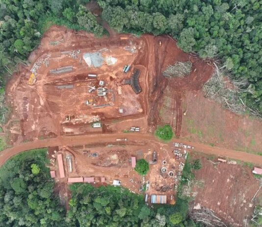 🇨🇲 Projet minier Ngoyla-Mbalam : les ONG choisissent-elles de ne pas « battre le fer » sur les véritables enjeux